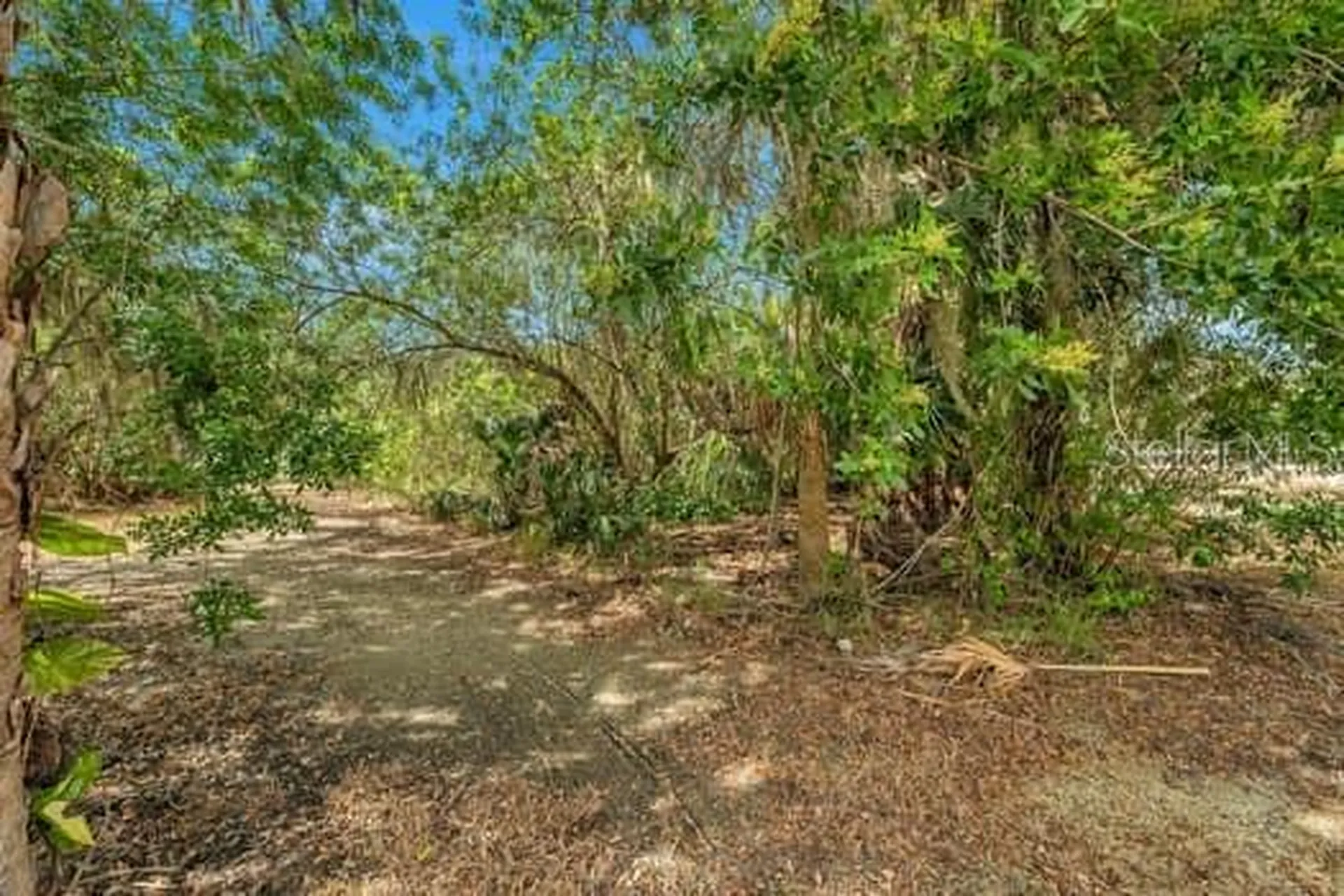 7822 Wilmar Court Port Richey FL 34668