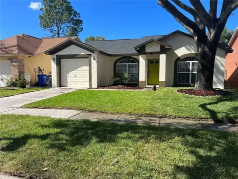 10116 Cedar Dune Drive Tampa FL 33624