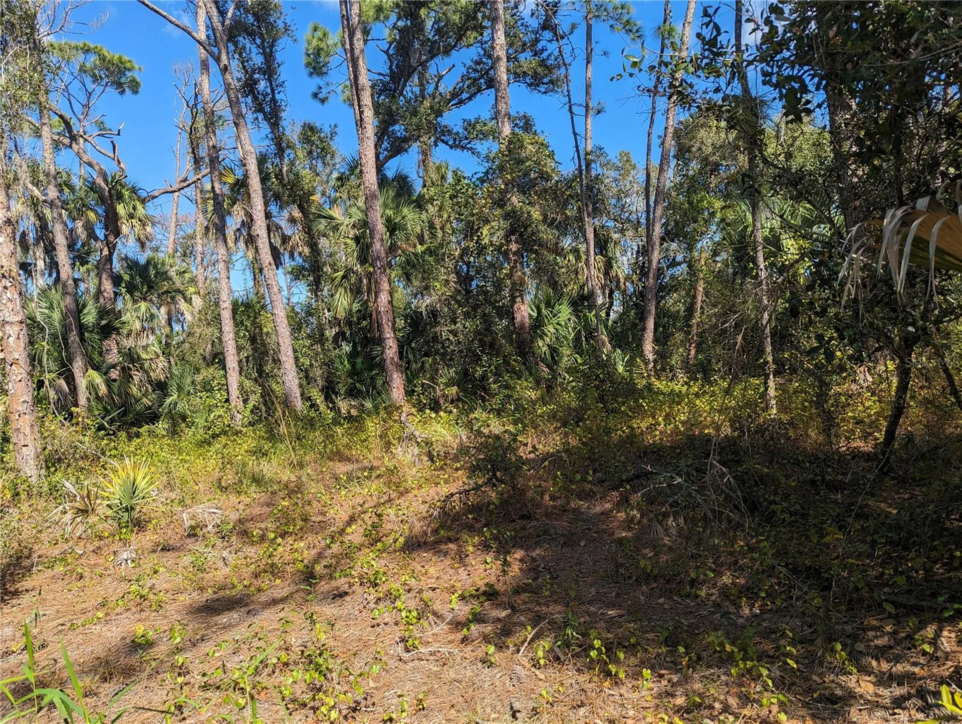 0 Apricola Road North Port FL 34286