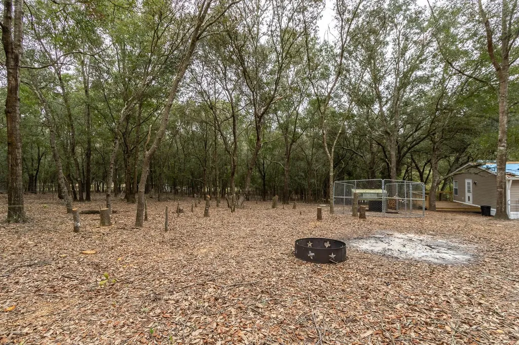 8251 NE 110th Street Bronson FL 32621