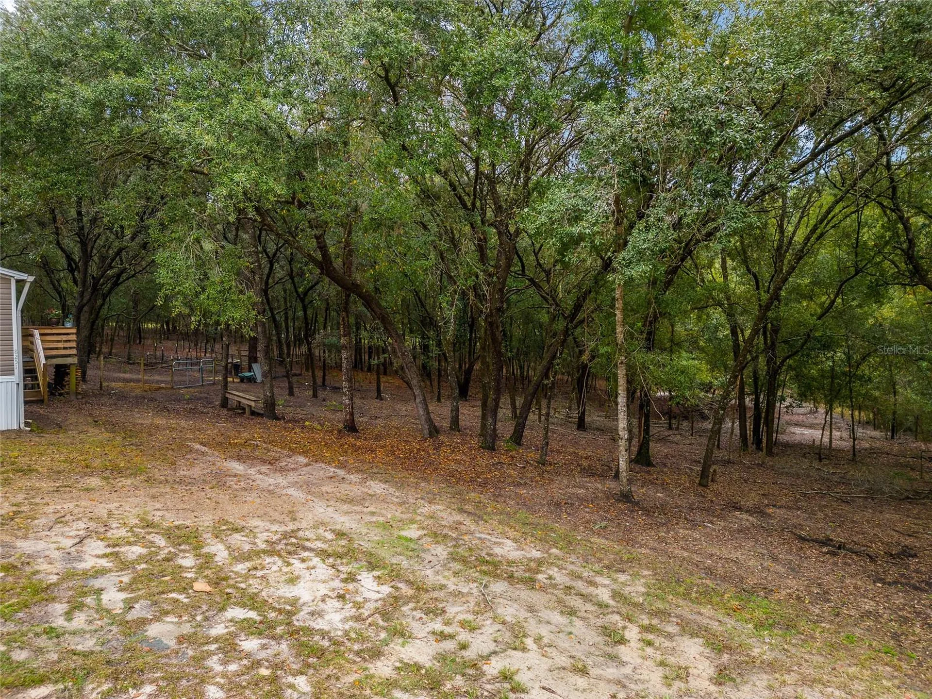 8251 NE 110th Street Bronson FL 32621