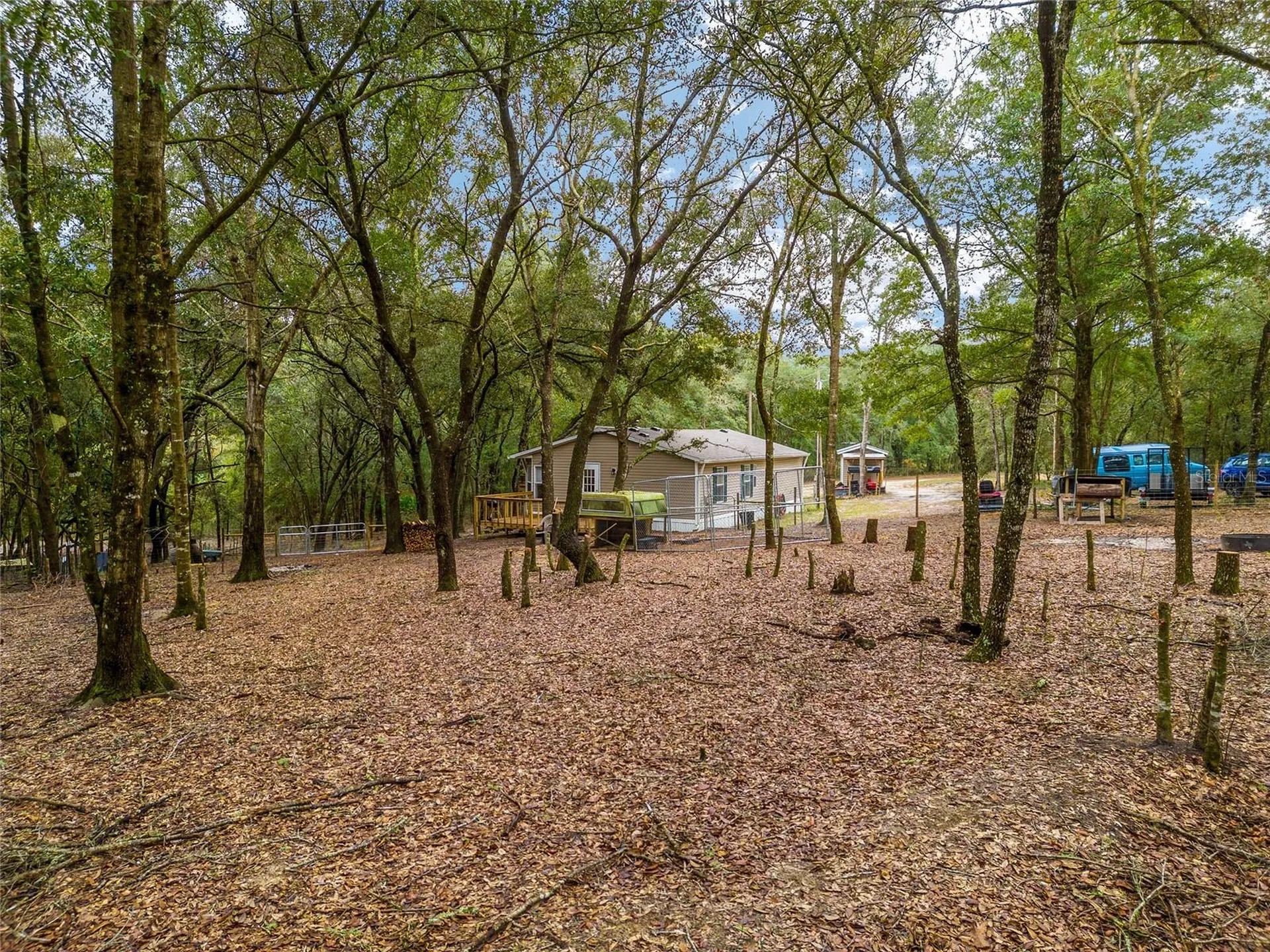 8251 NE 110th Street Bronson FL 32621