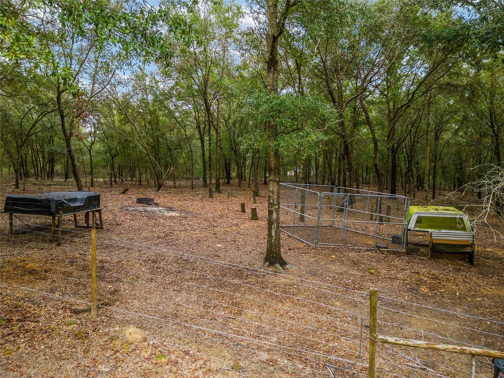 8251 NE 110th Street Bronson FL 32621