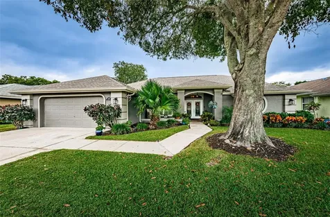 2692 Saddlewood Lane Palm Harbor FL 34685