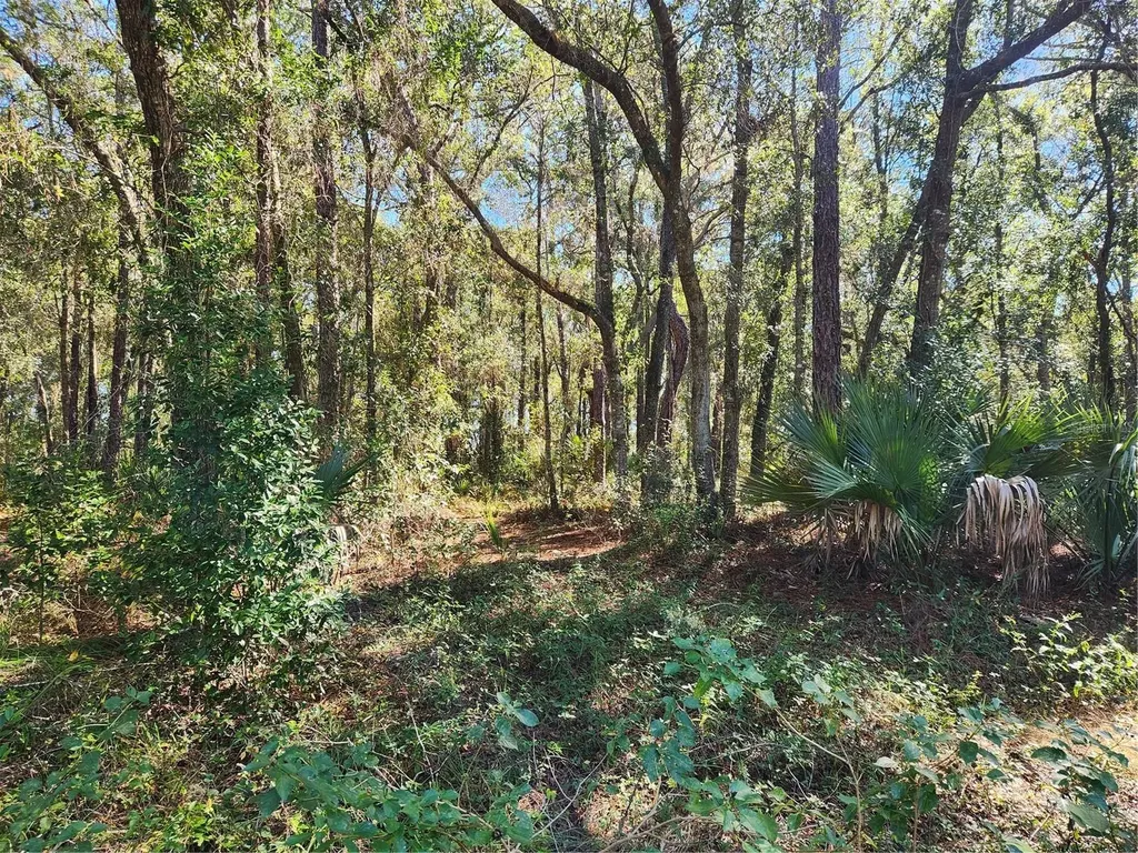 Markham Woods Road Longwood FL 32779