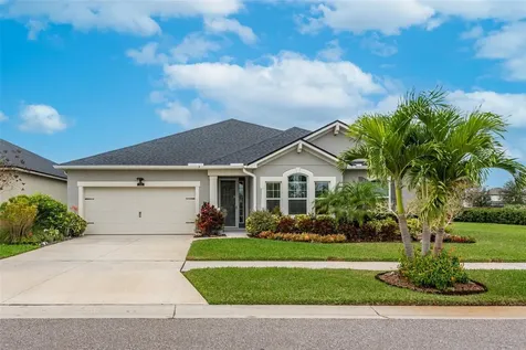 13403 Nimble Minke Place Riverview FL 33579
