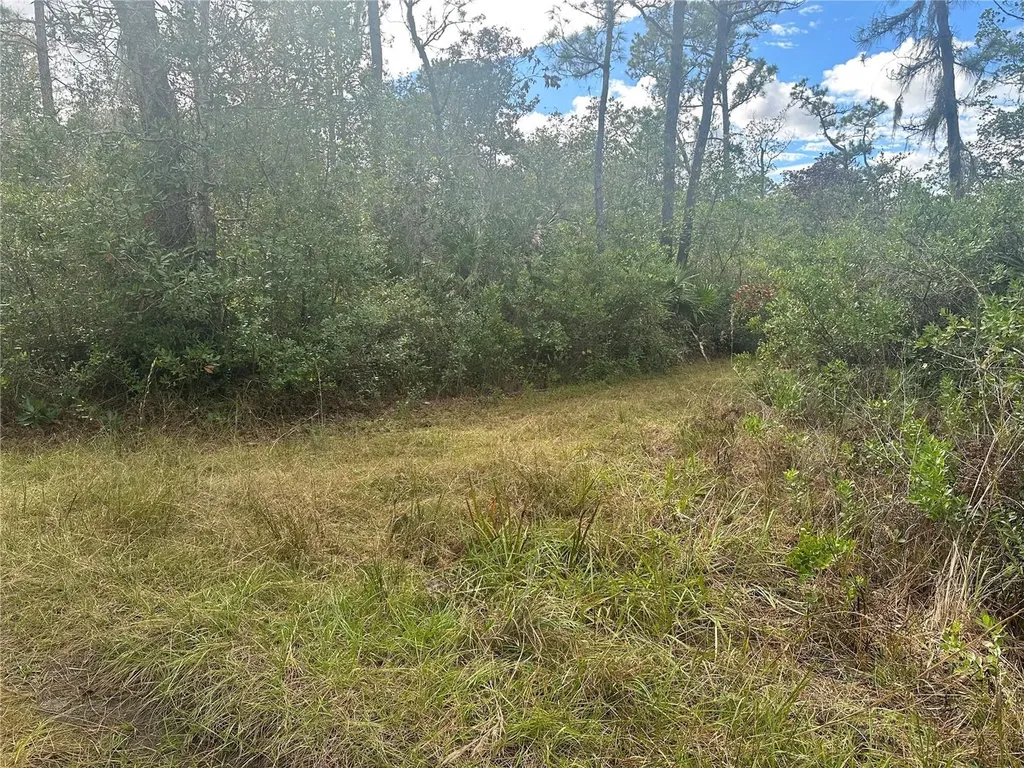 1112 Greenbriar Drive Christmas FL 32709