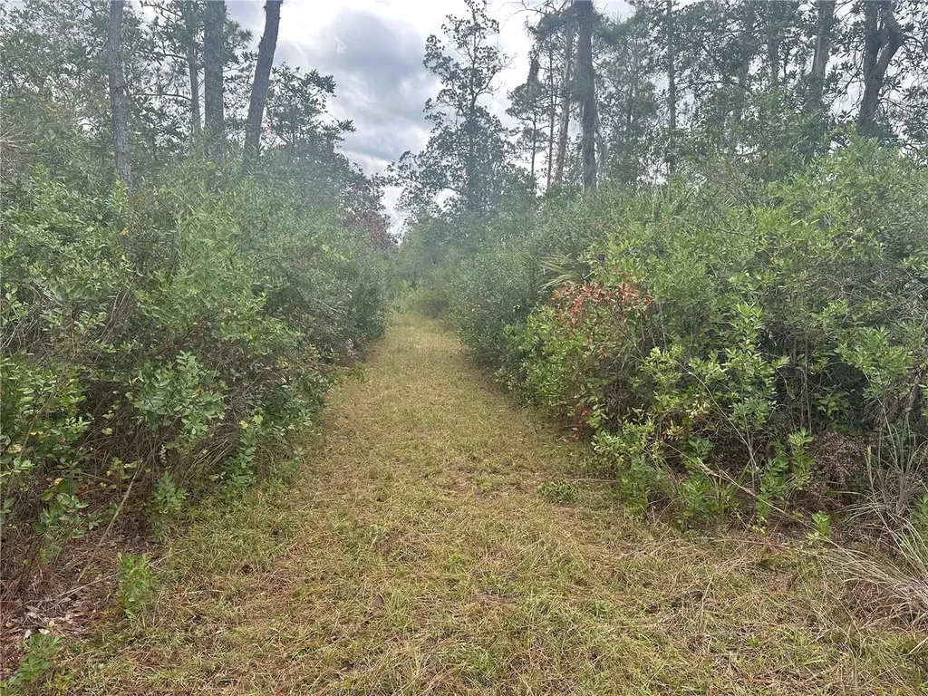 1112 Greenbriar Drive Christmas FL 32709