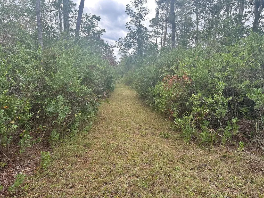 1112 Greenbriar Drive Christmas FL 32709