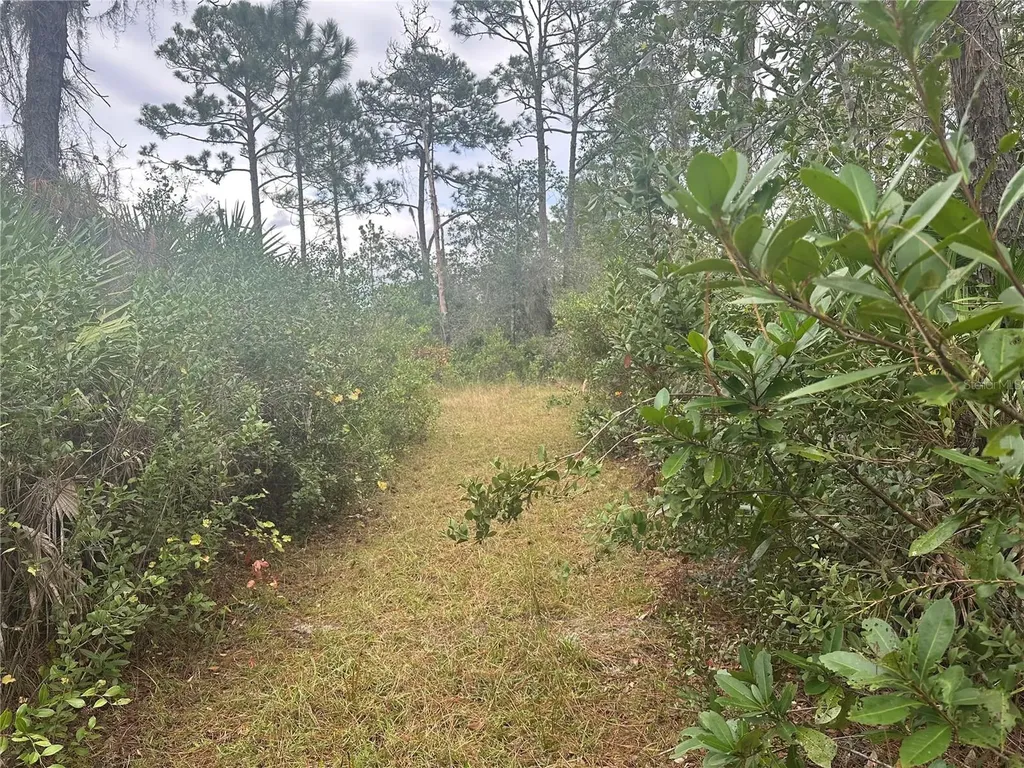 1112 Greenbriar Drive Christmas FL 32709
