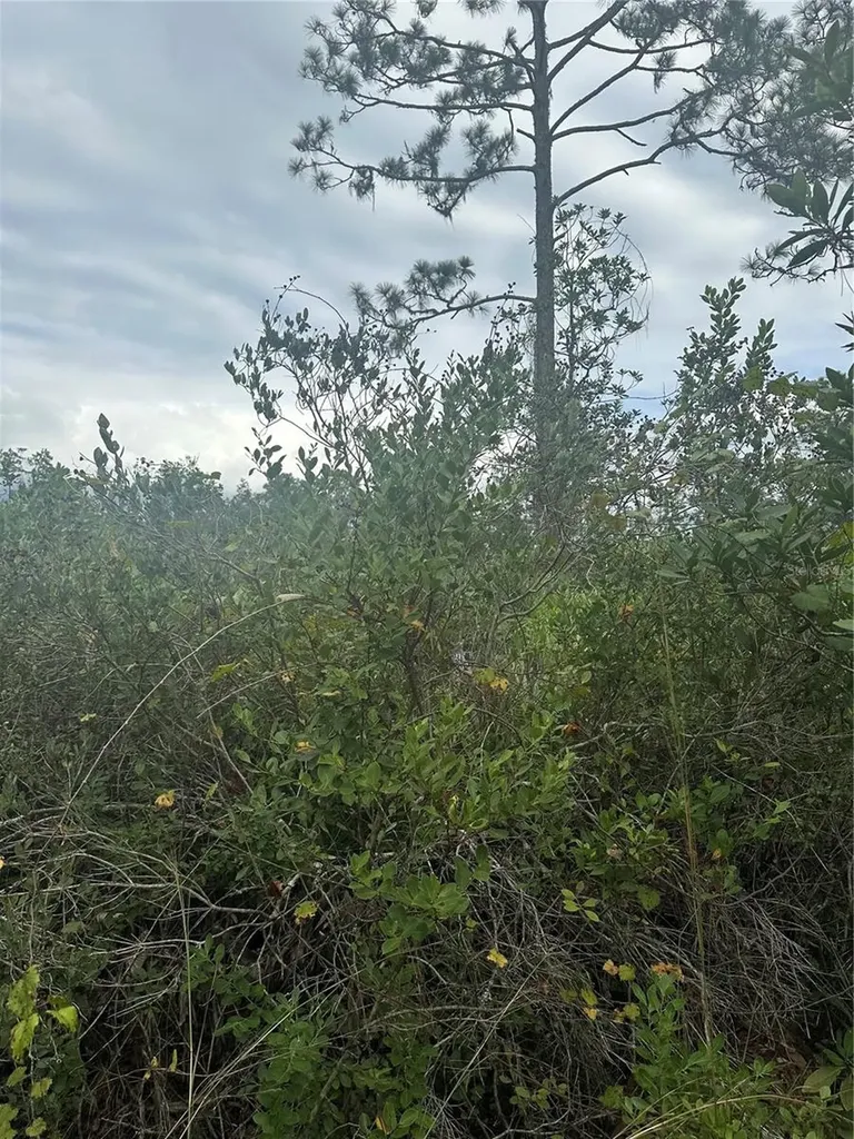 1112 Greenbriar Drive Christmas FL 32709