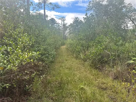 1112 Greenbriar Drive Christmas FL 32709