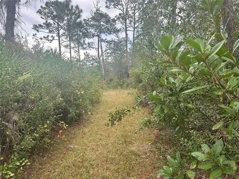 1112 Greenbriar Drive Christmas FL 32709
