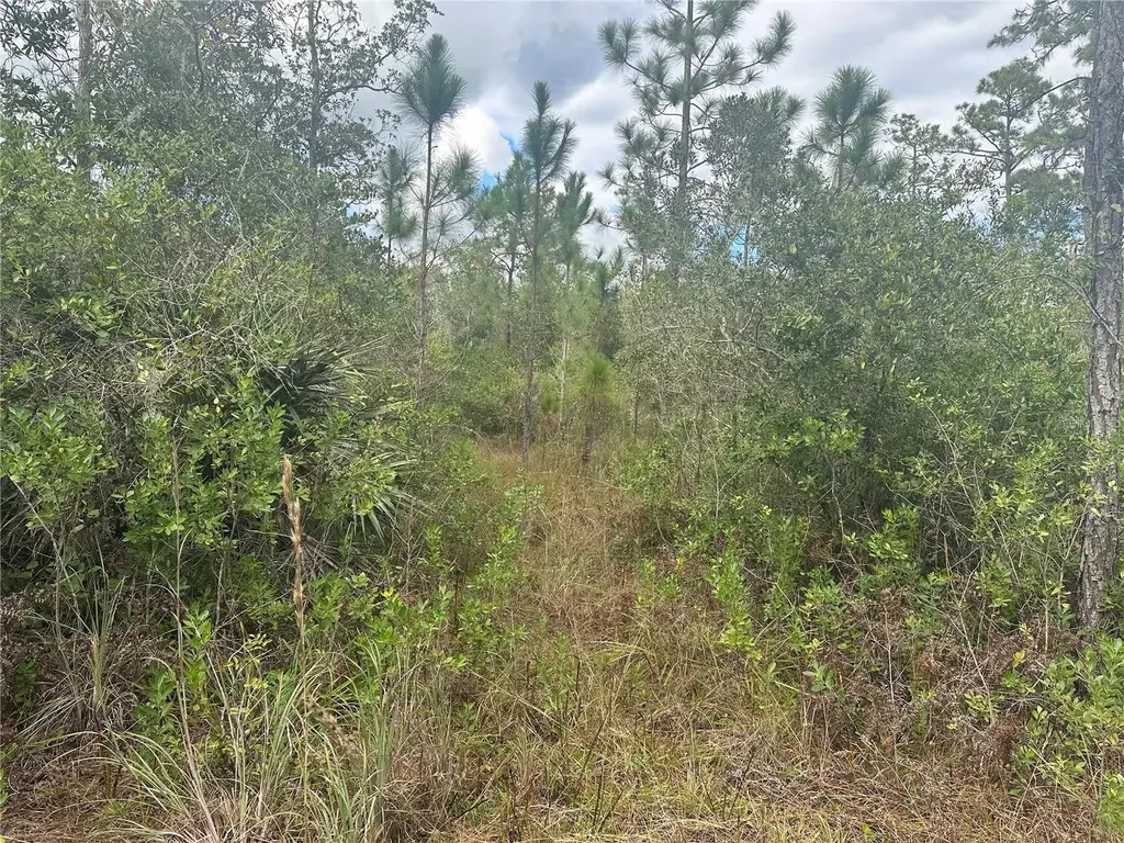 1106 Greenbriar Drive Christmas FL 32709