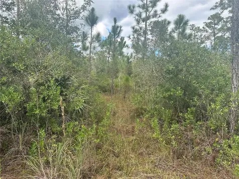 1106 Greenbriar Drive Christmas FL 32709