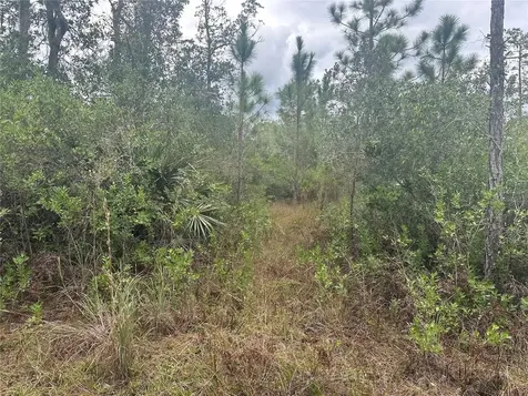 1106 Greenbriar Drive Christmas FL 32709