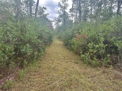 1106 Greenbriar Drive Christmas FL 32709