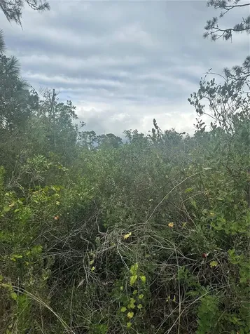 1106 Greenbriar Drive Christmas FL 32709