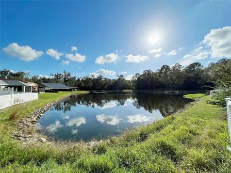 25120 Lexington Oaks Boulevard Wesley Chapel FL 33544