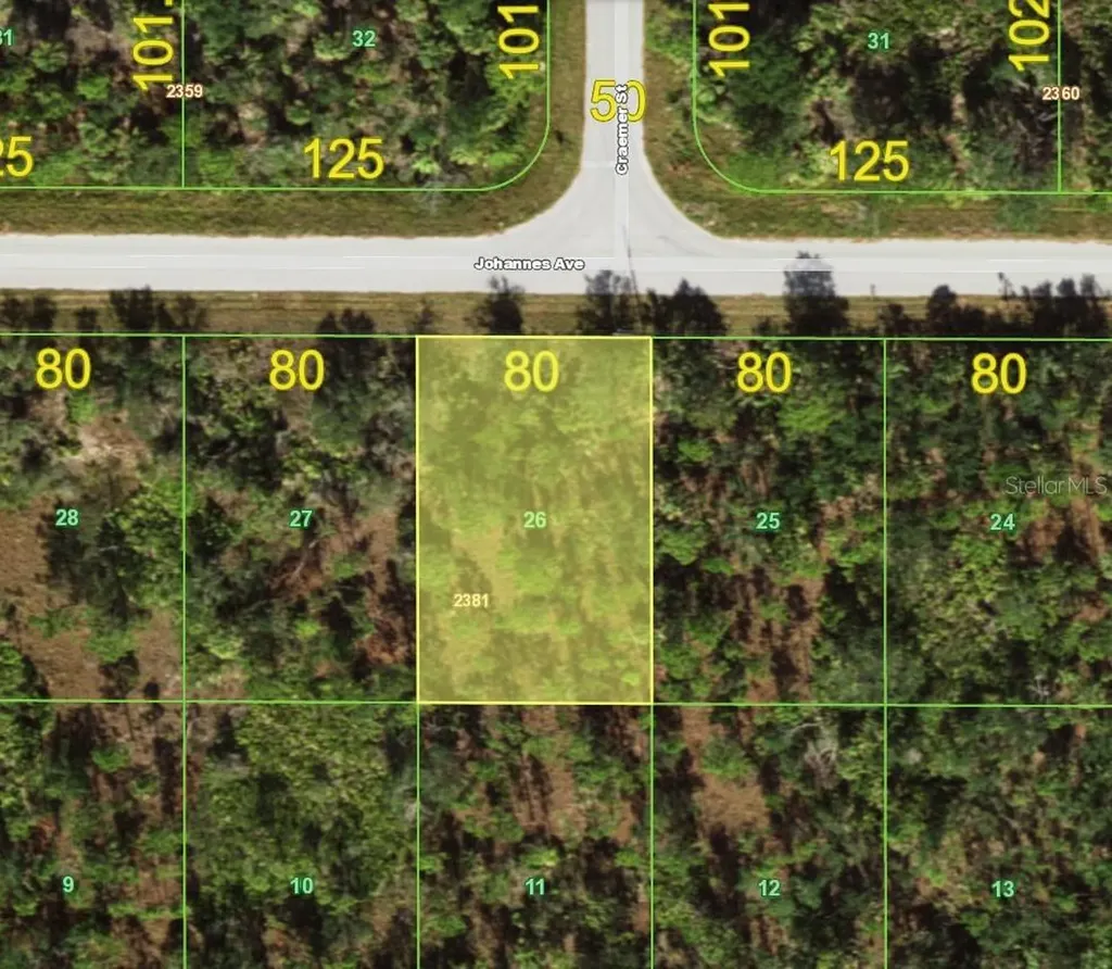13141 Johannes Avenue Port Charlotte FL 33953