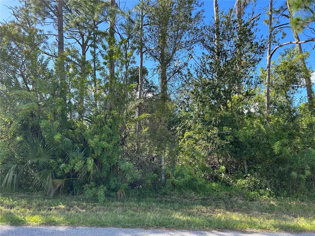 168 Capatola Street Port Charlotte FL 33948