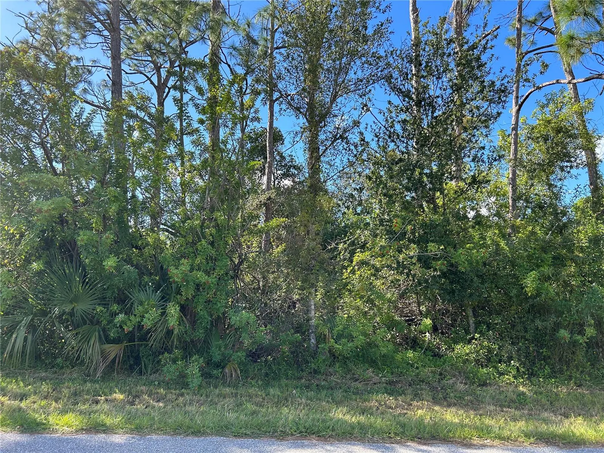 168 Capatola Street Port Charlotte FL 33948