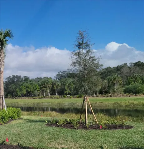 9197 Bernini Place Sarasota FL 34240