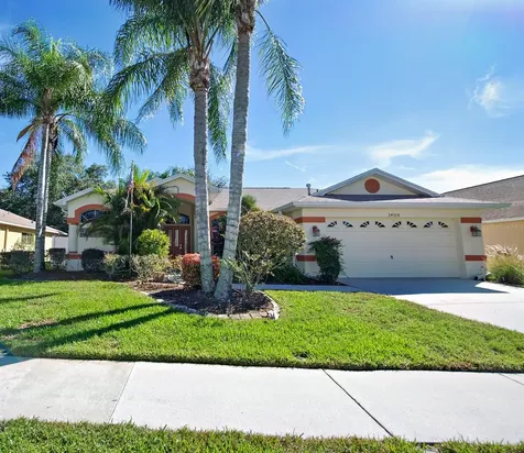 24330 Branchwood Court Lutz FL 33559