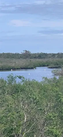10309 Coral Landings Court Placida FL 33946