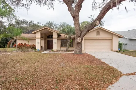 2805 Brambleridge Court Holiday FL 34691