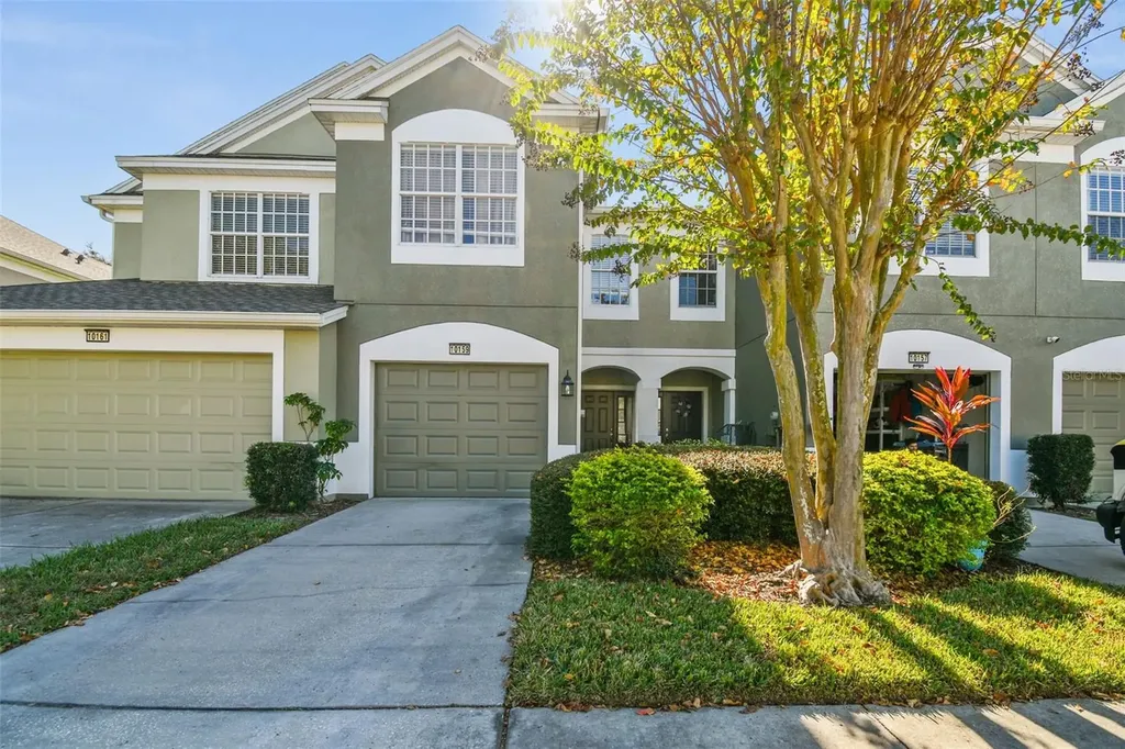 10159 Pink Palmata Court Riverview FL 33578