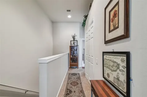 10159 Pink Palmata Court Riverview FL 33578
