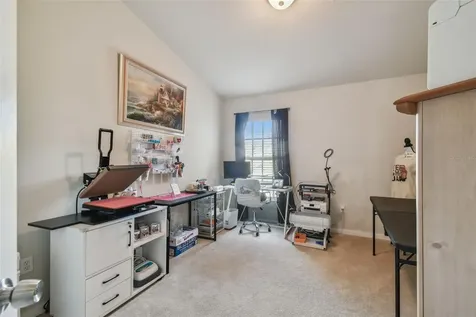 10159 Pink Palmata Court Riverview FL 33578