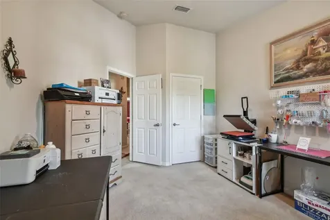 10159 Pink Palmata Court Riverview FL 33578