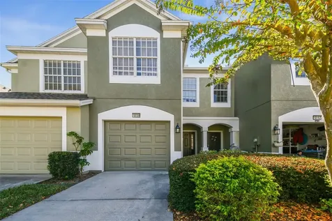 10159 Pink Palmata Court Riverview FL 33578