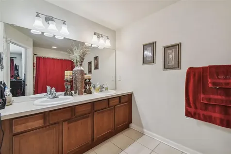 10159 Pink Palmata Court Riverview FL 33578