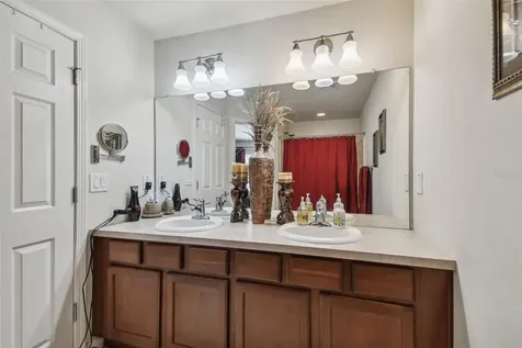 10159 Pink Palmata Court Riverview FL 33578