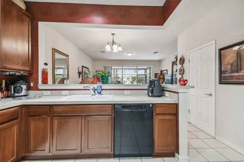 10159 Pink Palmata Court Riverview FL 33578
