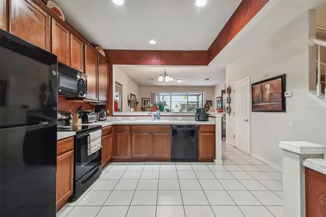 10159 Pink Palmata Court Riverview FL 33578