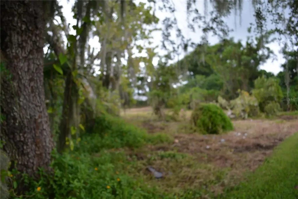0 Chuluota Road Oviedo FL 32765