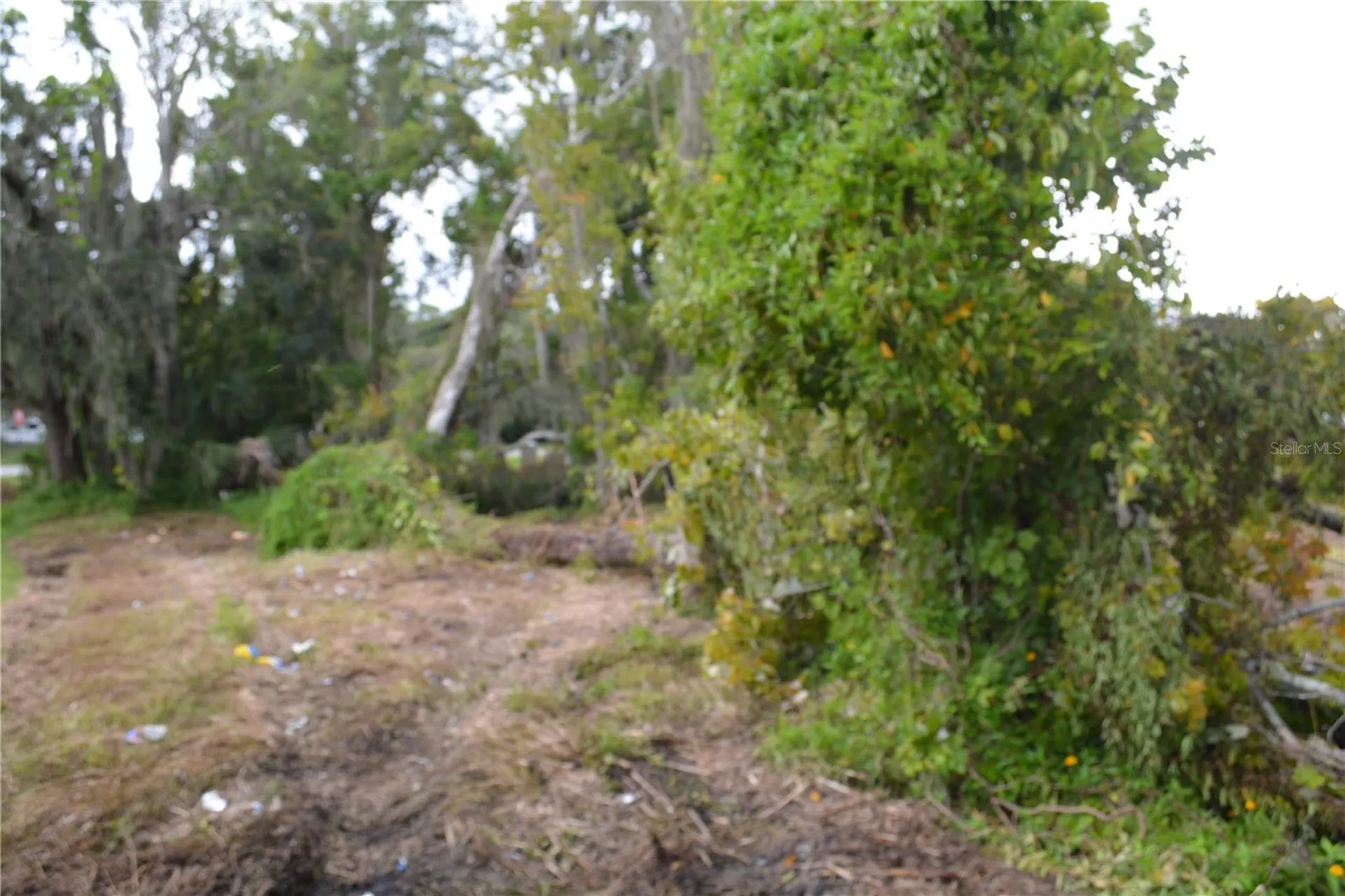 0 Chuluota Road Oviedo FL 32765