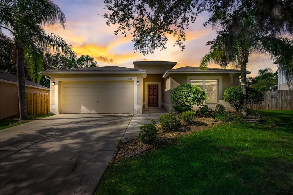 30119 Rattana Court Wesley Chapel FL 33545