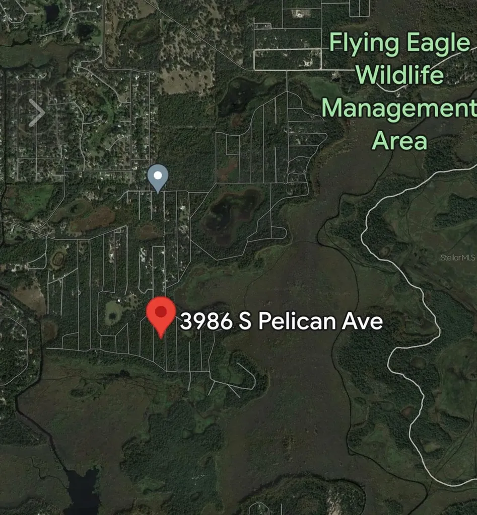 3986 S Pelican Avenue Inverness FL 34450