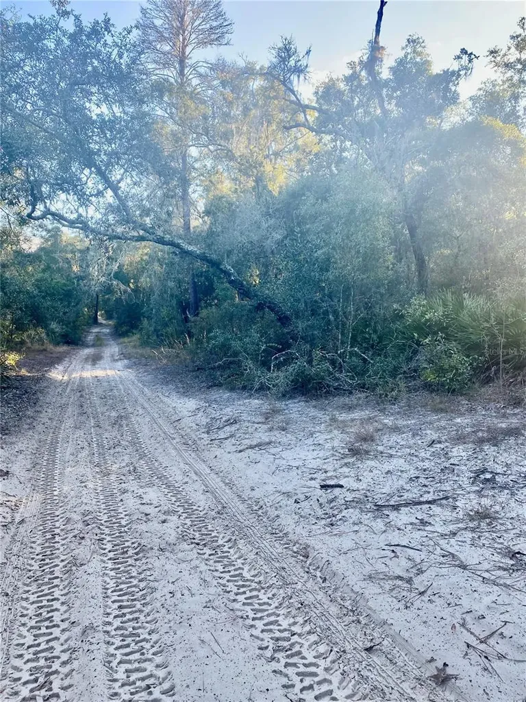 3986 S Pelican Avenue Inverness FL 34450