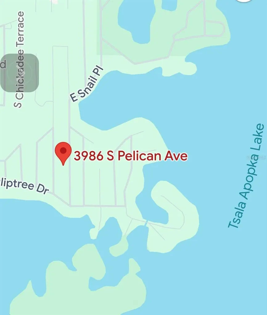3986 S Pelican Avenue Inverness FL 34450