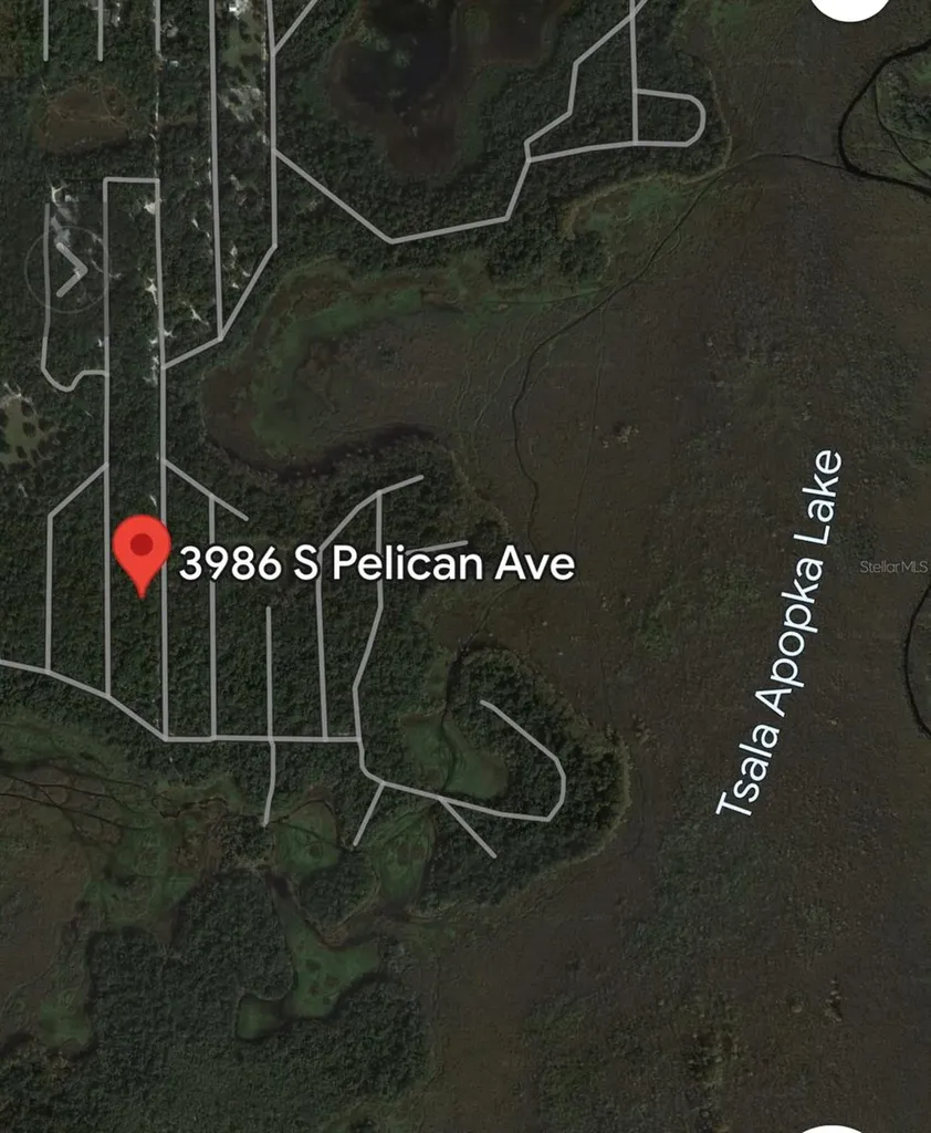 3986 S Pelican Avenue Inverness FL 34450