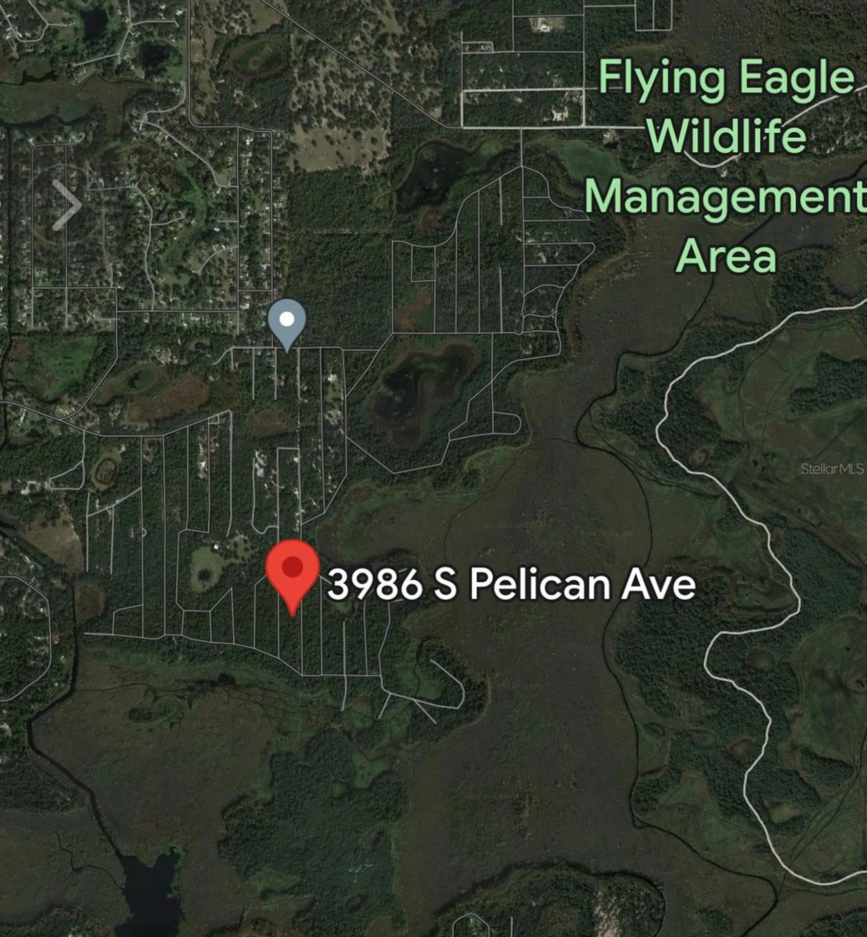 3986 S Pelican Avenue Inverness FL 34450