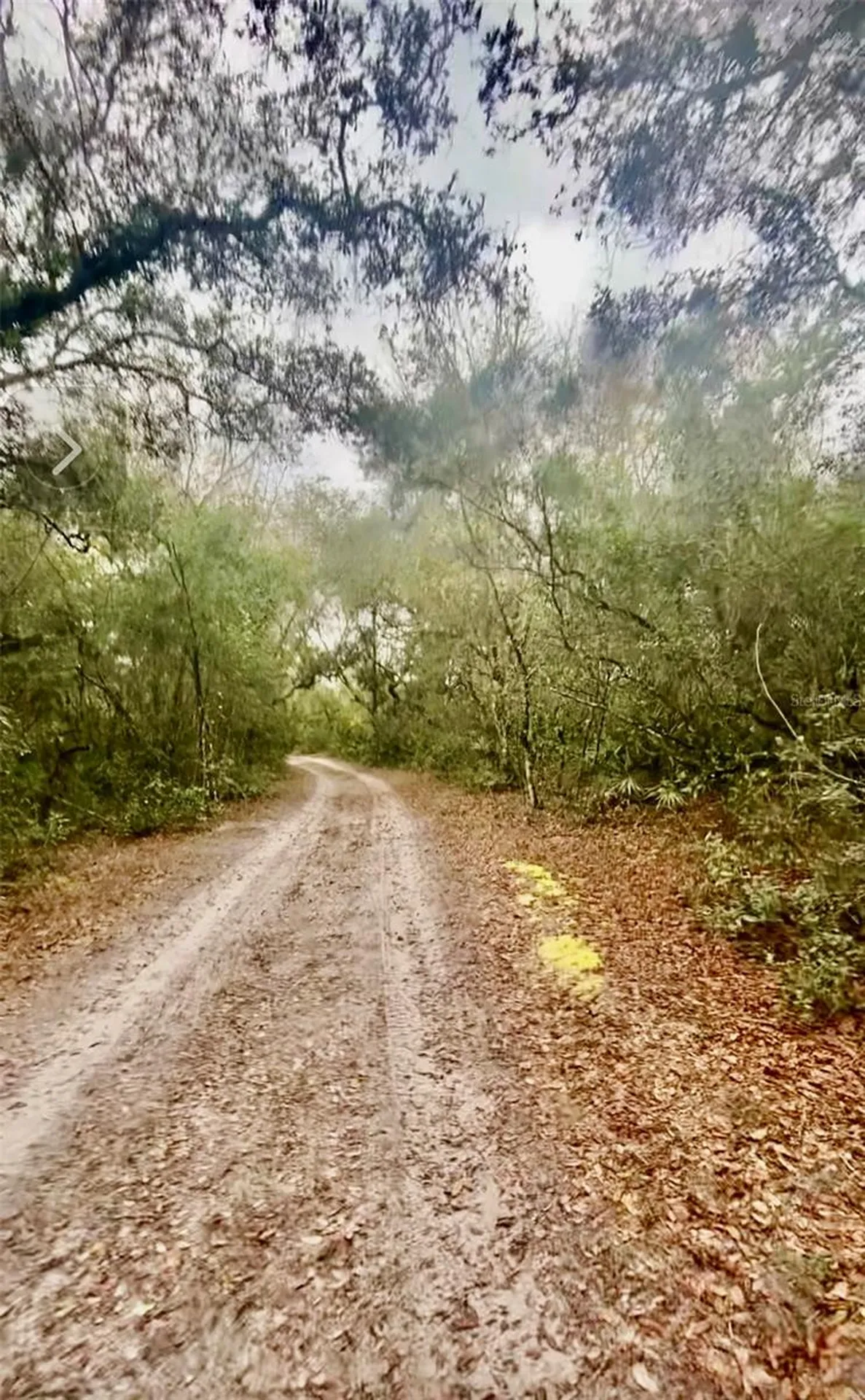 3986 S Pelican Avenue Inverness FL 34450