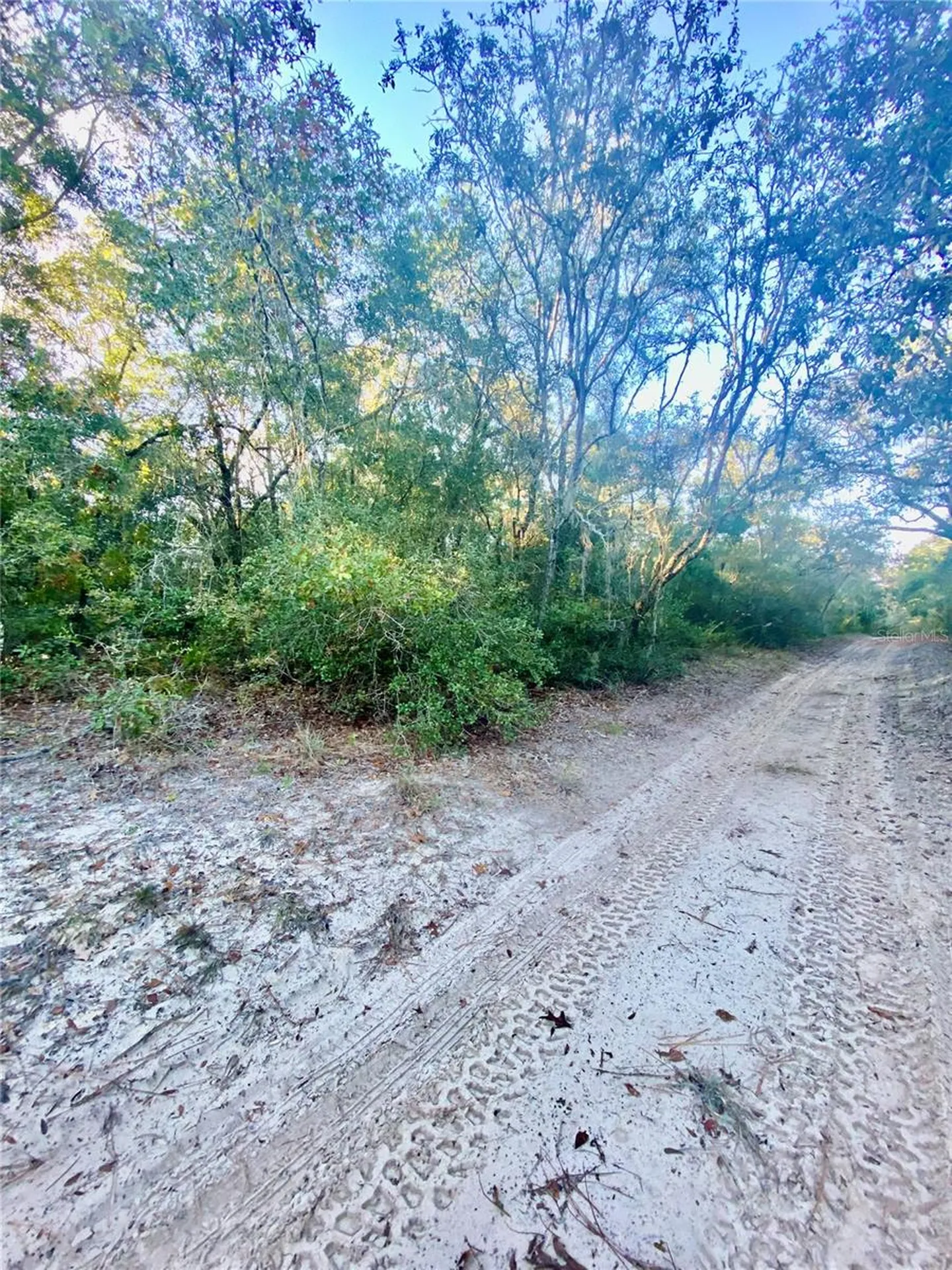 3986 S Pelican Avenue Inverness FL 34450