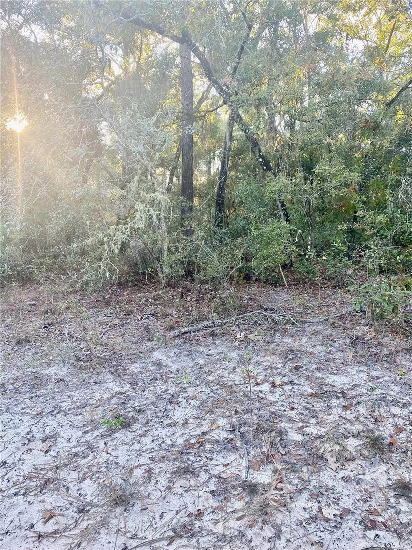3986 S Pelican Avenue Inverness FL 34450